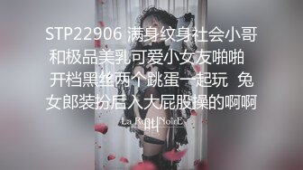 STP22906 满身纹身社会小哥和极品美乳可爱小女友啪啪  开档黑丝两个跳蛋一起玩  兔女郎装扮后入大屁股操的啊啊叫