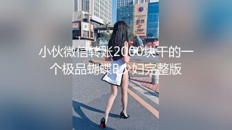 小伙微信转账2000块干的一个极品蝴蝶B少妇完整版