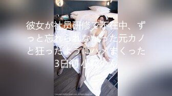 彼女が社员研修で不在中、ずっと忘れられなかった元カノと狂ったようにハメまくった3日间 小花のん