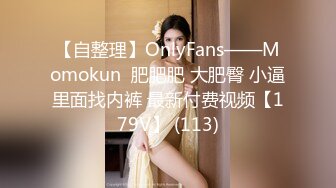 【自整理】OnlyFans——Momokun  肥肥肥 大肥臀 小逼里面找内裤 最新付费视频【179V】 (113)