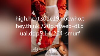 high.heat.s01e19.not.who.they.think.720p.nf.web-dl.dual.ddp5.1.h.264-smurf