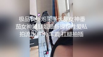  极品长腿炮架子长腿女神番茄女神腿腿姐最新操粉性爱私拍流出 户外车震 扛腿抽插