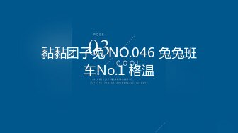 黏黏团子兔 NO.046 兔兔班车No.1 格温