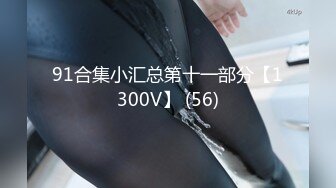 91合集小汇总第十一部分【1300V】 (56)