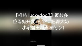 【推特 luckydog7】调教多位母狗开发3P 4P，肥臀大奶、小家碧玉叫声淫荡 (2)