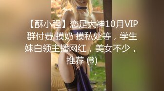 【酥小强】恋足大神10月VIP群付费 摸奶 摸私处等，学生妹白领主播网红，美女不少，推荐 (3)