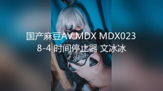 国产麻豆AV MDX MDX0238-4 时间停止器 文冰冰