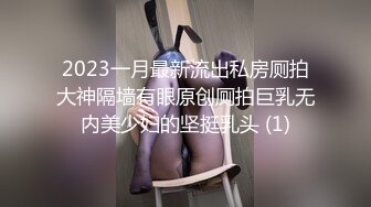 2023一月最新流出私房厕拍大神隔墙有眼原创厕拍巨乳无内美少妇的坚挺乳头 (1)