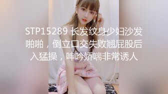 麻豆传媒MDSR-0001-2妖女榨汁篇章二感染者的蜕变-宋南伊