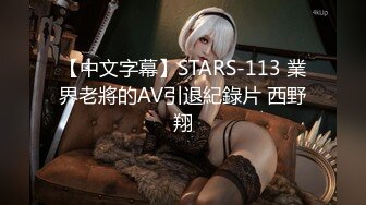 【中文字幕】STARS-113 業界老將的AV引退紀錄片 西野翔