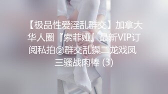 【极品性爱淫乱群交】加拿大华人圈『索菲娅』最新VIP订阅私拍②群交乱操二龙戏凤 三骚战肉棒 (3)