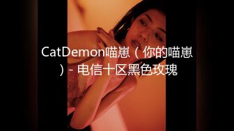 CatDemon喵崽（你的喵崽）- 电信十区黑色玫瑰